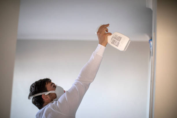 Best Same-Day Mold Removal  in Warrensburg, IL