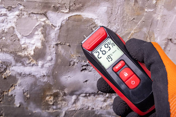 Best Mold Removal Company Near Me  in Warrensburg, IL
