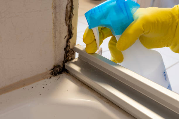 Crawl Space Mold Removal in Warrensburg, IL