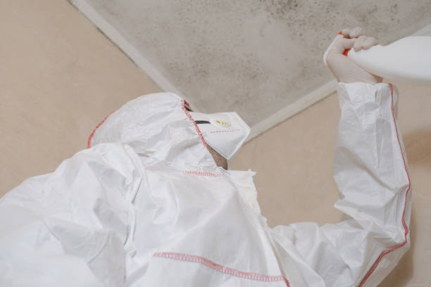 Water Damage Restoration in Warrensburg, IL