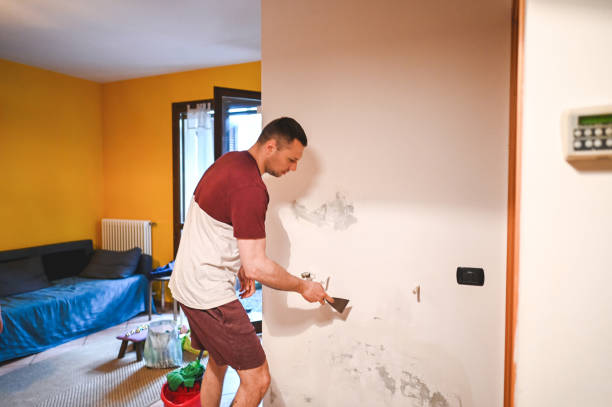 Best Professional Mold Removal  in Warrensburg, IL